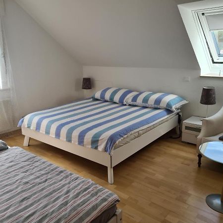 Appartement Paradiso 高莱茵河畔布辛根 外观 照片