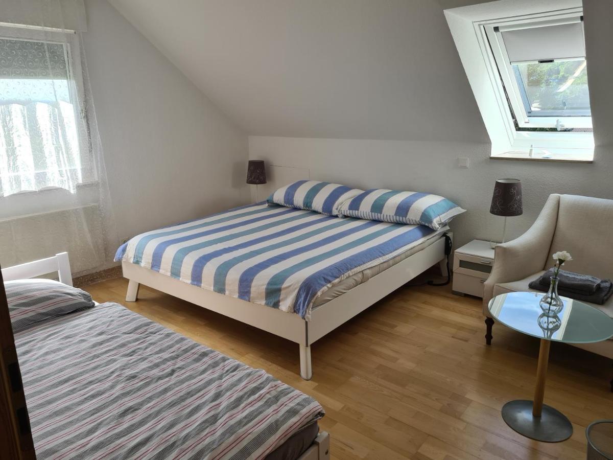 Appartement Paradiso 高莱茵河畔布辛根 外观 照片